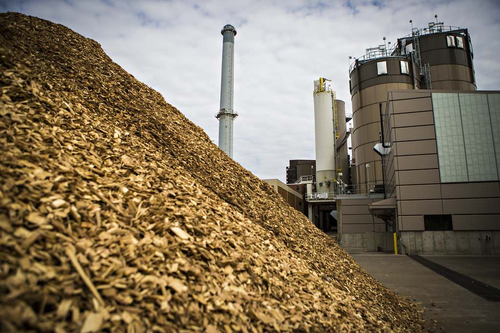 Biomass Energy on the West Coast of the USA